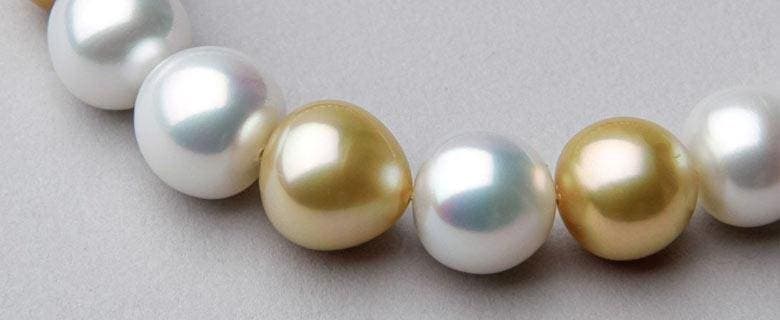 Golden and white South Sea pearls up close