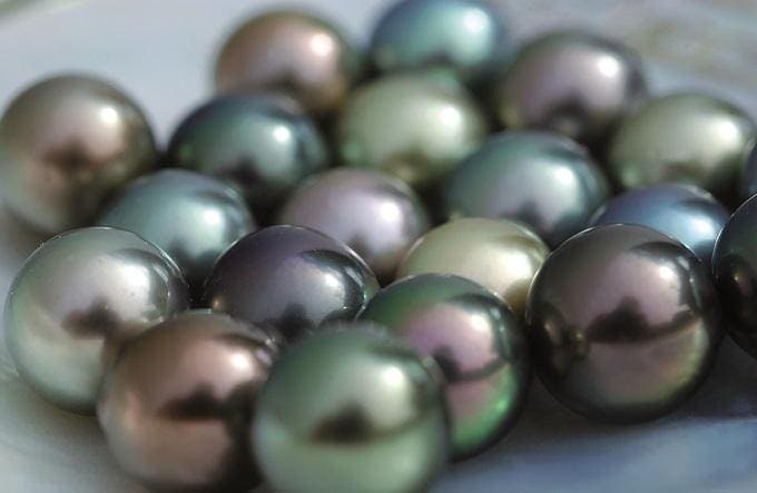 Tahitian pearls with peacock green and purple overtones